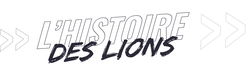 L'histoire des lions